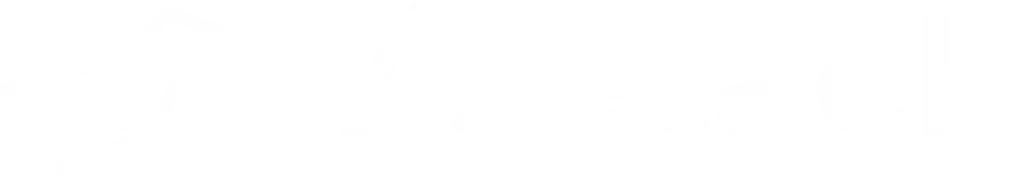 Wisetack Logo